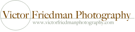 Victor Friedman Photography